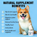 dog-vitamins---30-multivitamins-chews-wglucosamine-chondroitin-probiotics-digestive-enzymes-and-omegas---supplement-for-overall-health---joint-support-immune-health-skin-and-heart-health-3