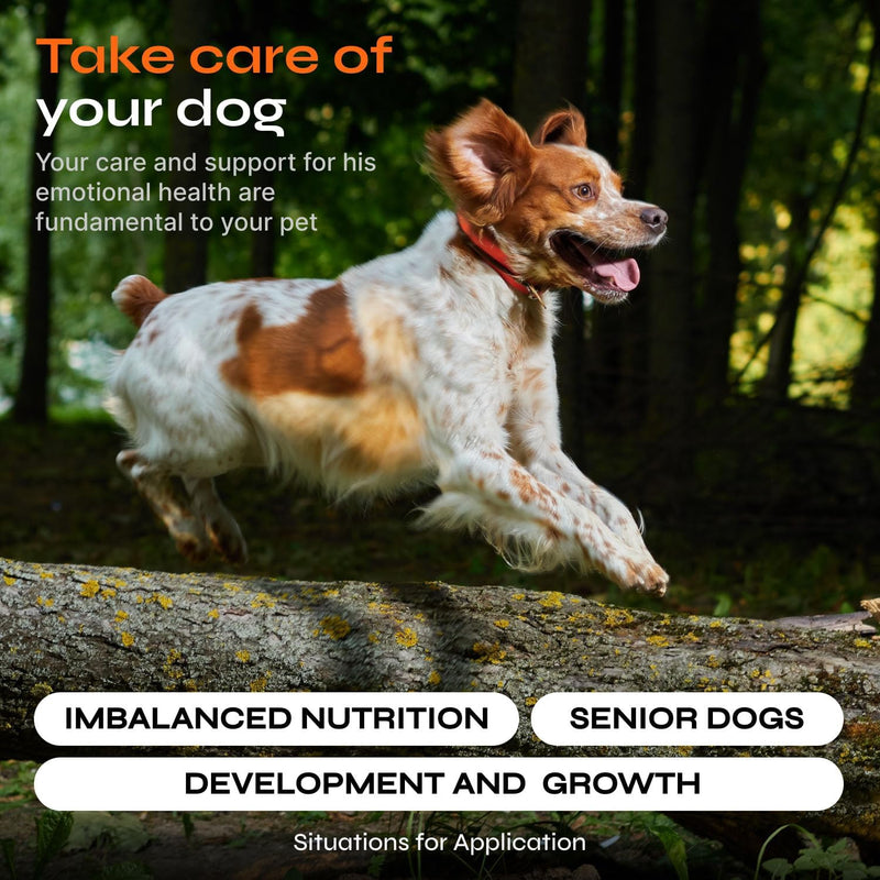 dog-vitamins-15-in-1---dog-multivitamin-chews---joint-supplement-for-dogs---dog-vitamins-supplements-for-hip-joint-immune-system-coat-mobility---itchy-skin-relief---glucosamine-chondroitin-4