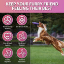 dog-vitamins-24-in-1-dog-vitamins-and-supplements-200-chews-with-glucosamine-probiotics-omega-3-dog-multivitamins-chewable-for-hip-joint-skin-coat-immune-health-digestive-chicken-4