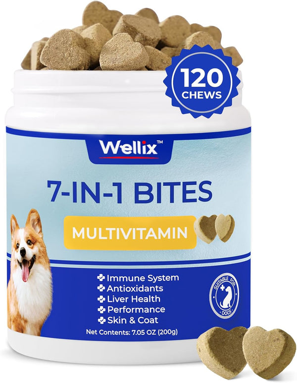 dog-vitamins-and-supplements---multivitamin-chewable-treats-for-dogs-skin-coat-mobility-support-hip-joint-supplement-immune-system-overall-health120-chews-1