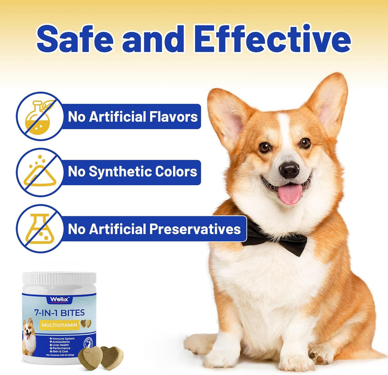 dog-vitamins-and-supplements---multivitamin-chewable-treats-for-dogs-skin-coat-mobility-support-hip-joint-supplement-immune-system-overall-health120-chews-6