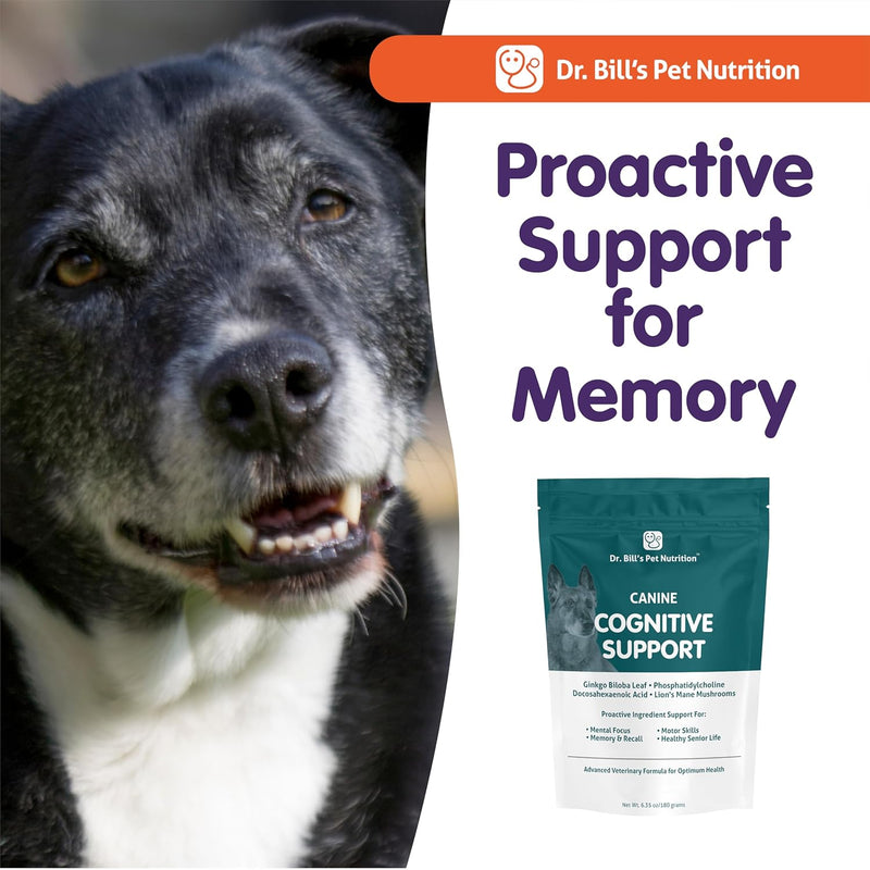 dr-bills-canine-cognitive-support-memory-support-supplement-multivitamin-for-dogs-contains-gingko-biloba-l-carnosine-vitamin-b-12-l-glutamine-l-tyrosine-and-dha-for-adult-and-senior-dog-9