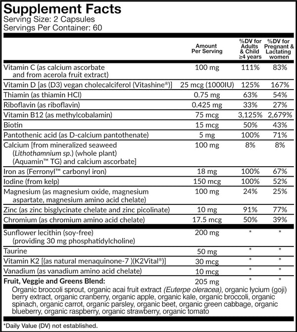 dr-fuhrmans-gentle-prenatal-multivitamin-mineral-supplement-with-iron---120-capsules-1