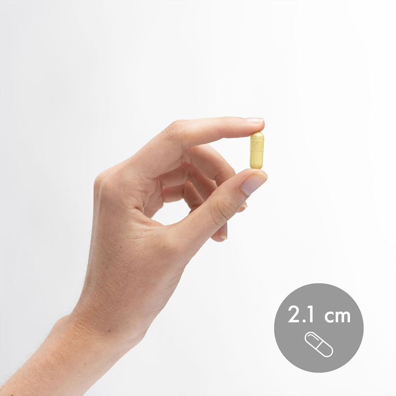 dr-mercola-fisetin-and-spermidine-30-capsules-125-mg-fisetin-non-gmo-gluten-free-soy-free-4