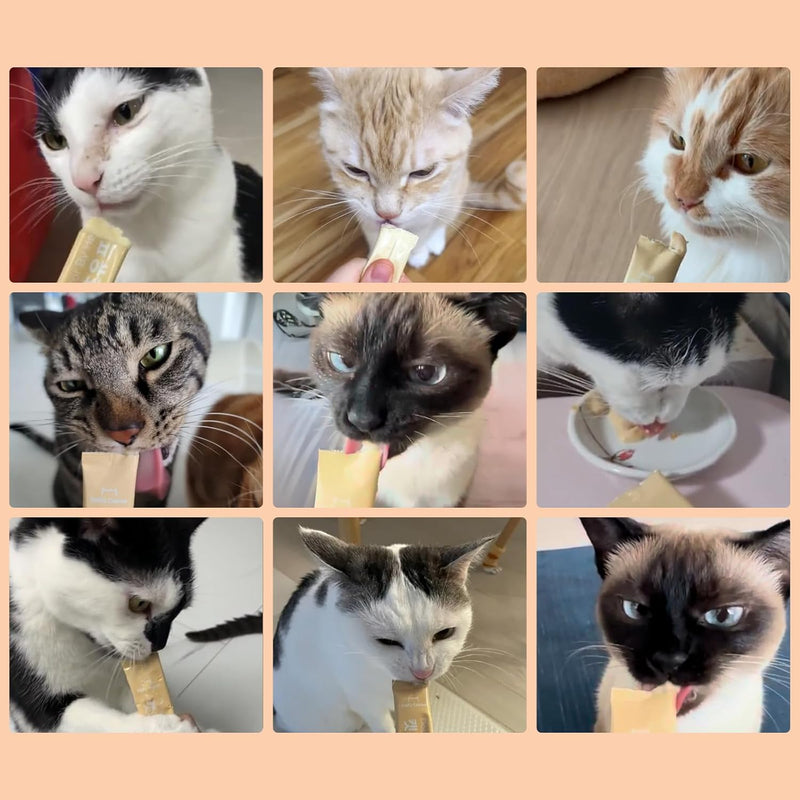 drby-cat-colostrum-protein-cat-supplement-immune-support-muscle-growth-gentle-on-digestion-for-kittens-adultsenior-cats-with-goat-milk-whey-protein-isolate-colostrum-lickable-formula-10