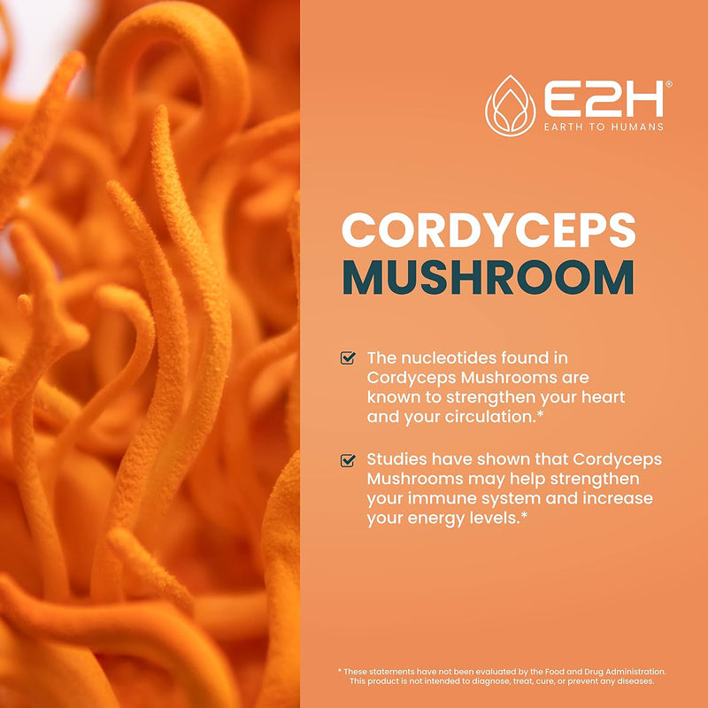 e2h-cordyceps-mushroom-extract---all-natural-immun-3.jpg