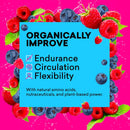 eboost-pow-natural-pre-workout-powder-20-servings---blue-raspberry---a-preworkout-supplement-for-performance-joint-mobility-support-energy---men-and-women---non-gmo-gluten-free-no-creatine-3