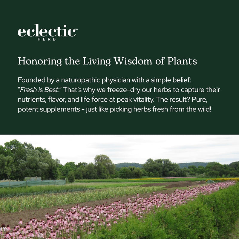 eclectic-herb---celery-juice-powder-nutritional-su-9.jpg