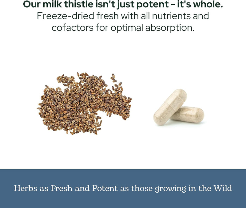eclectic-herb---premium-freeze-dried-milk-thistle--6.jpg