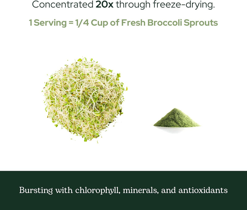 eclectic-herb-broccoli-sprouts-powder-122-grams-8.jpg
