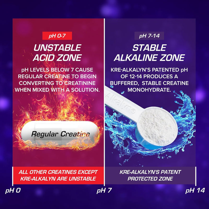 efx-sports-kre-alkalyn-efx-powder-ph-correct-creat-5.jpg