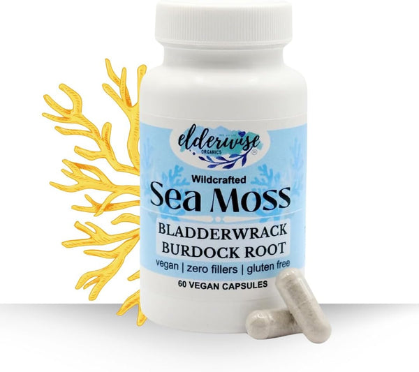 elderwise-organics-sea-moss-capsules---sea-moss-wi-1.jpg