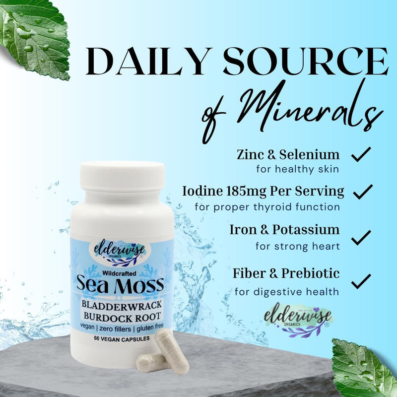 elderwise-organics-sea-moss-capsules---sea-moss-wi-3.jpg