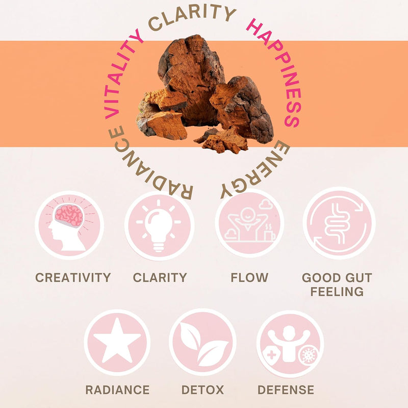 eleven-tlc-organic-chaga-mushroom-powder-restorati-5.jpg