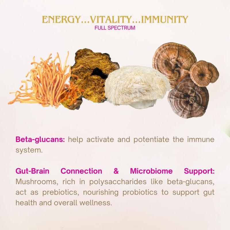 eleven-tlc-organic-chaga-mushroom-powder-restorati-6.jpg