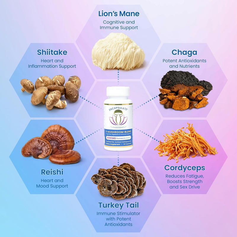 encapsulate-6-mushroom-blend-reishi-chaga-turkey-t-2.jpg