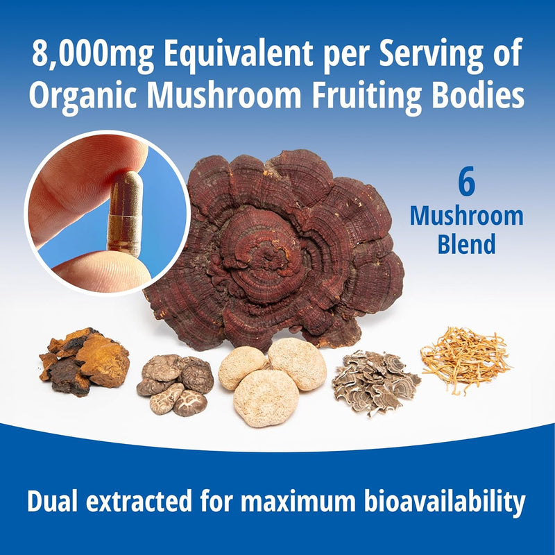 encapsulate-6-mushroom-blend-reishi-chaga-turkey-t-6.jpg
