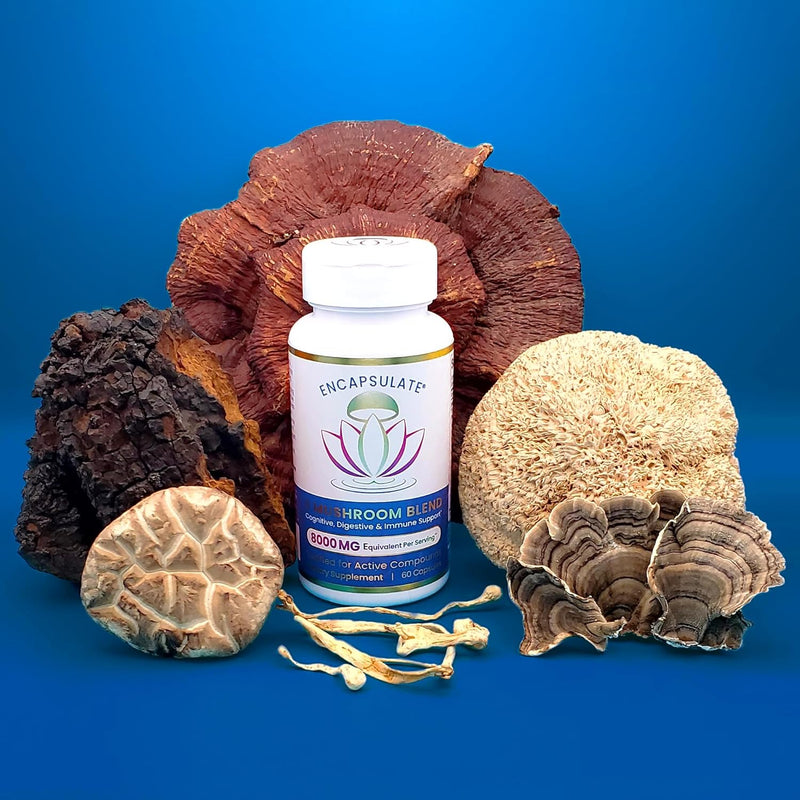 encapsulate-6-mushroom-blend-reishi-chaga-turkey-t-8.jpg