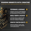 falcon-performance-vegan-protein-powder-31g-protein-5g-creatine-5g-bcaa-probiotics-electrolytes-pre-workout-low-carb-sugar-free-dairy-free-plant-based-vanilla-protein--19-servings-5