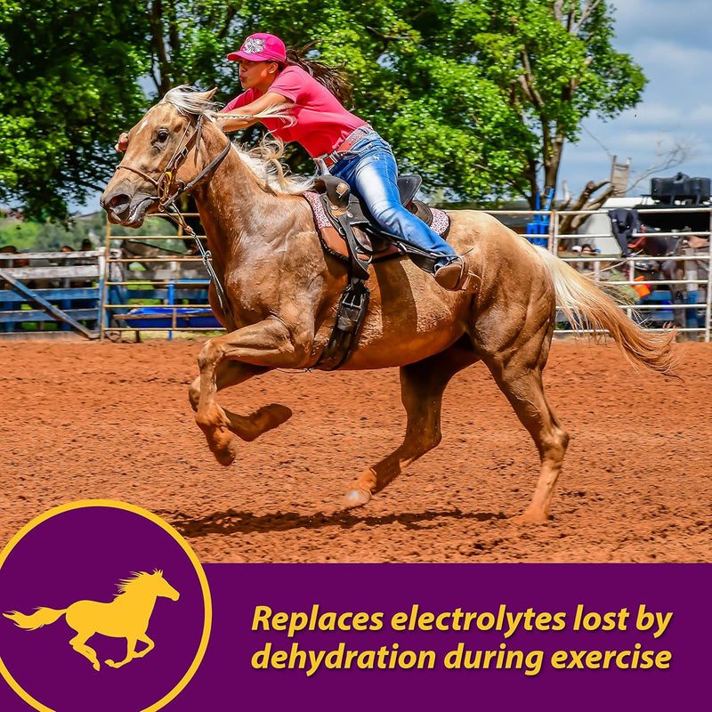 farnam-horse-health-apple-dex-apple-flavored-electrolytes-for-horses-5-pound-2