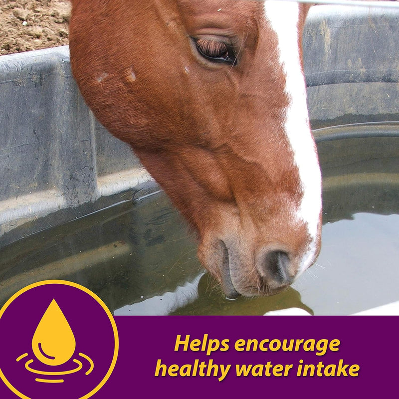 farnam-horse-health-apple-dex-apple-flavored-electrolytes-for-horses-5-pound-4