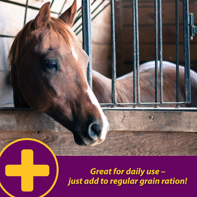 farnam-horse-health-apple-dex-apple-flavored-electrolytes-for-horses-5-pound-6