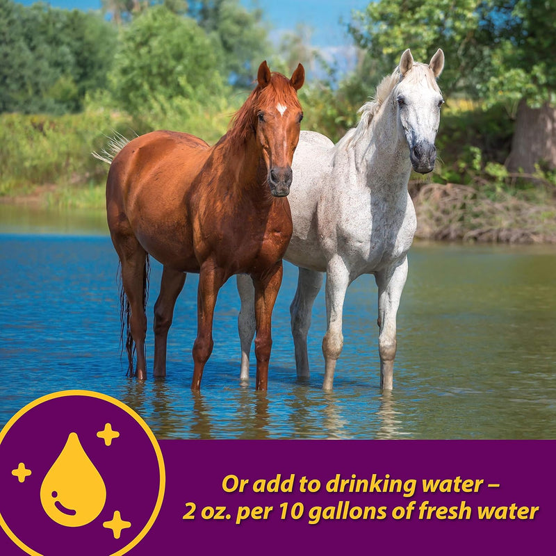 farnam-horse-health-apple-dex-apple-flavored-electrolytes-for-horses-5-pound-7