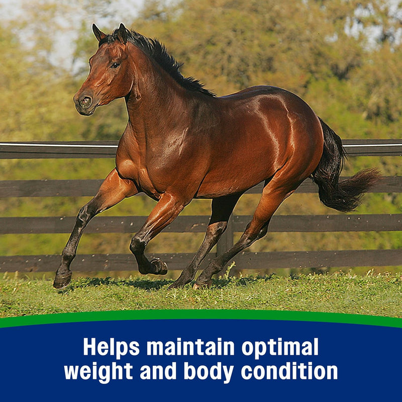 farnam-weight-builder-weight-support-supplement-for-horses-helps-maintain-optimal-body-condition-75-lb-30-day-supply-2