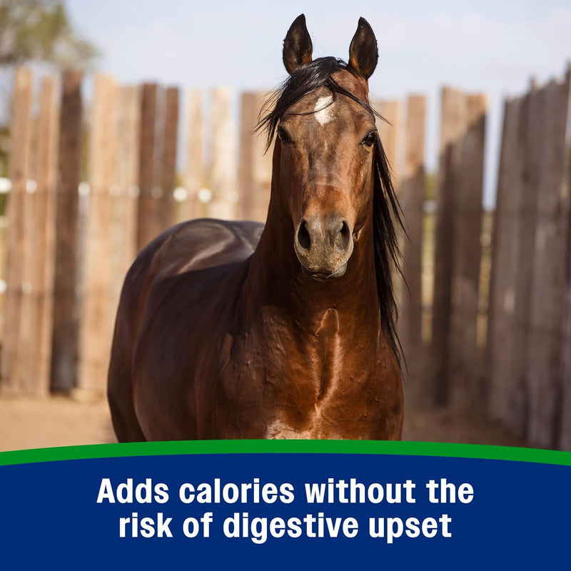 farnam-weight-builder-weight-support-supplement-for-horses-helps-maintain-optimal-body-condition-75-lb-30-day-supply-3