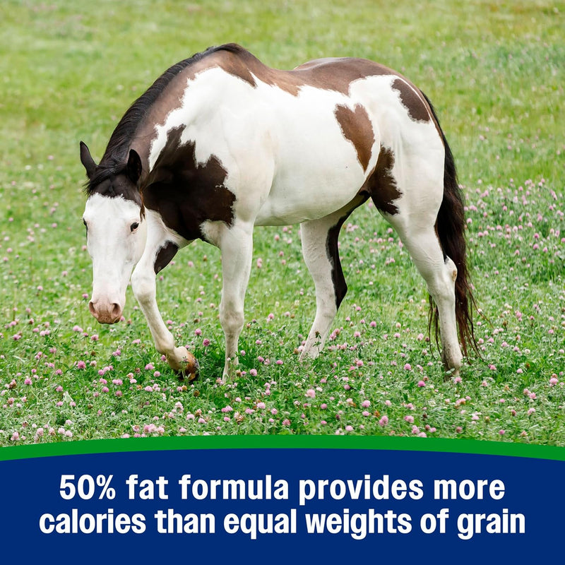 farnam-weight-builder-weight-support-supplement-for-horses-helps-maintain-optimal-body-condition-75-lb-30-day-supply-4