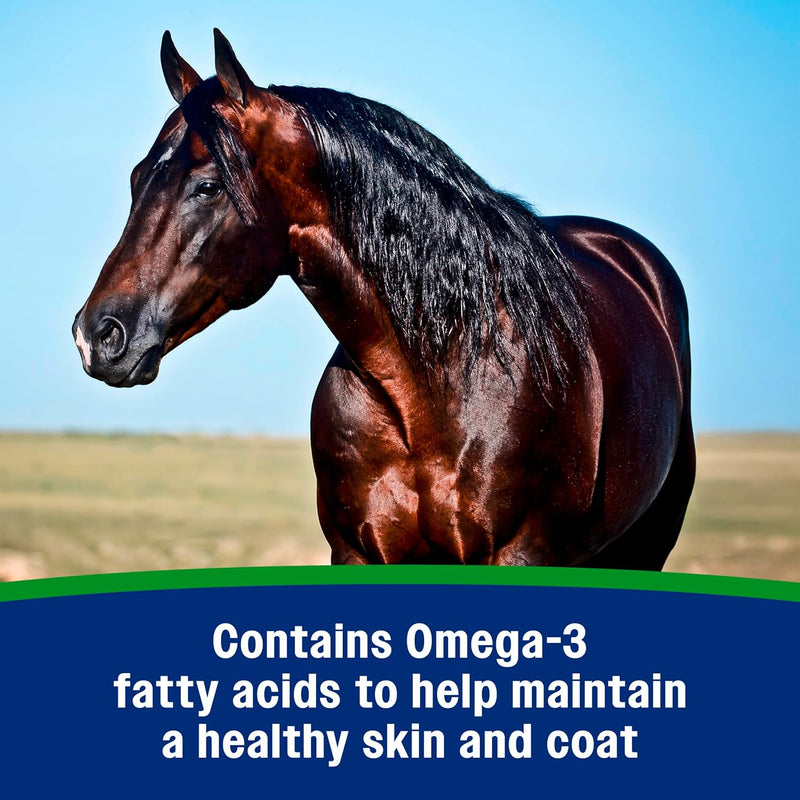 farnam-weight-builder-weight-support-supplement-for-horses-helps-maintain-optimal-body-condition-75-lb-30-day-supply-7