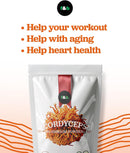 fb-superfoods-organic-cordyceps-mushroom-extract-p-3.jpg