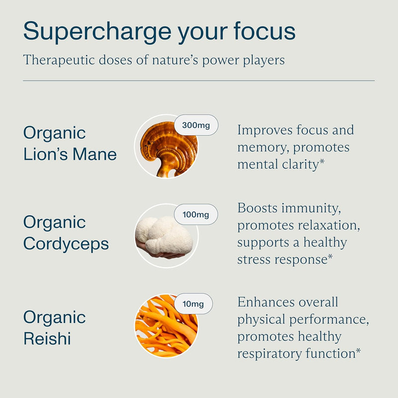 focl-lions-mane-mushroom-gummies---mushroom-supple-3.jpg