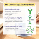 fogoro-immunoglobulin-supplement-with-igg-igm-iga-low-calorie-igg-supplement-with-l-glutamine-n-acetyl-d-glucosamine-lactose-free-casein-free-alternative-to-bovine-colostrum-30-servings-3