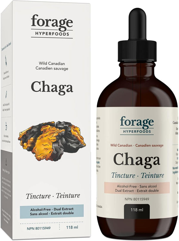 forage-hyperfoods--alcohol-free-canadian-wild-chag-1.jpg