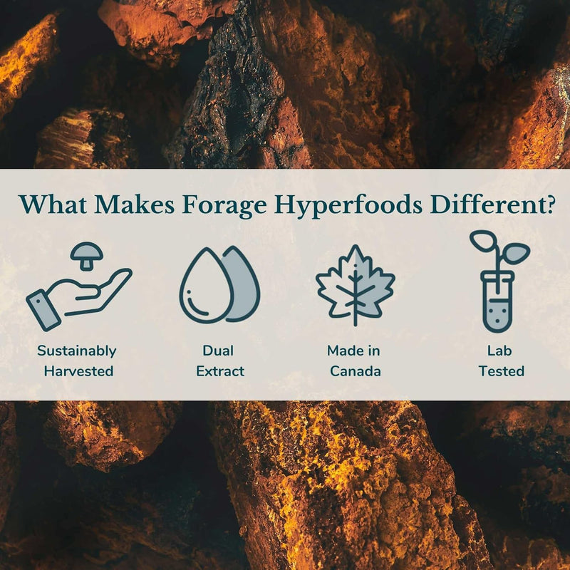 forage-hyperfoods--alcohol-free-canadian-wild-chag-6.jpg