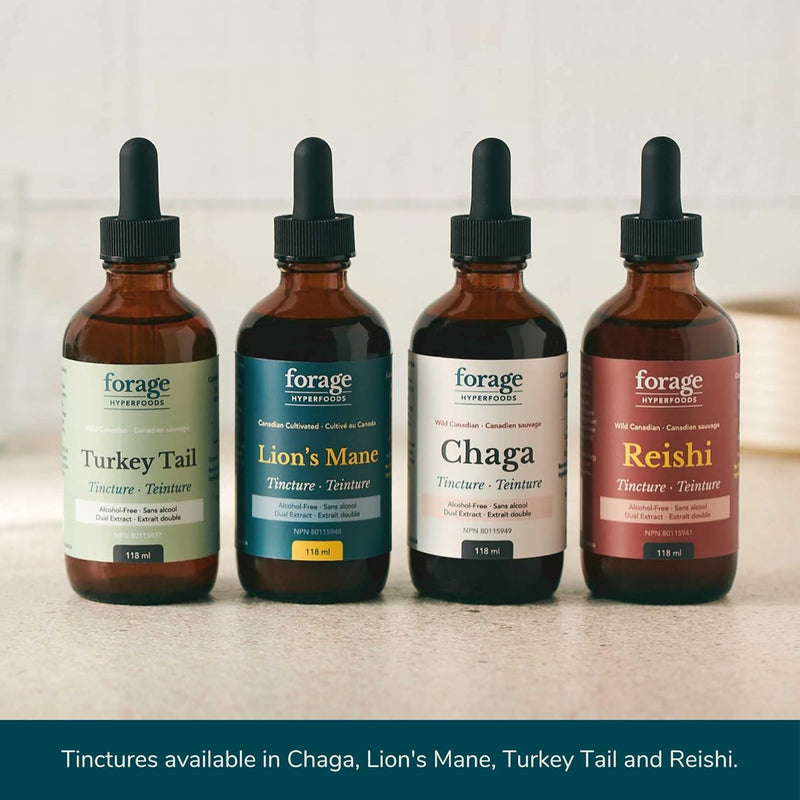 forage-hyperfoods--alcohol-free-canadian-wild-chag-8.jpg