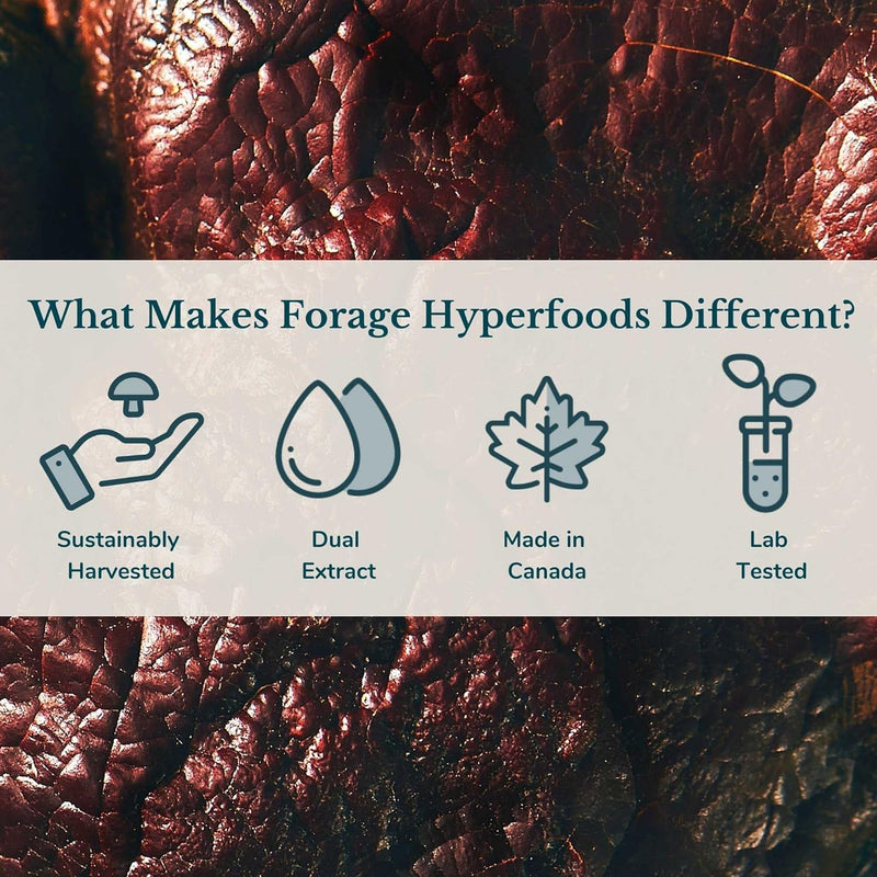 forage-hyperfoods--original-canadian-wild-reishi-m-6.jpg