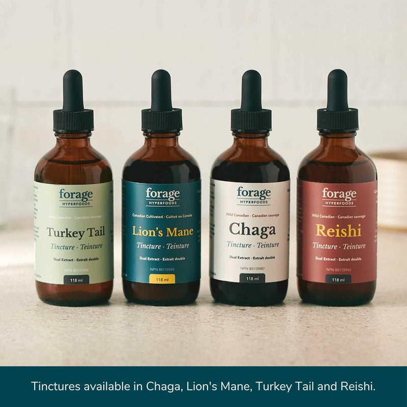 forage-hyperfoods--original-canadian-wild-reishi-m-8.jpg