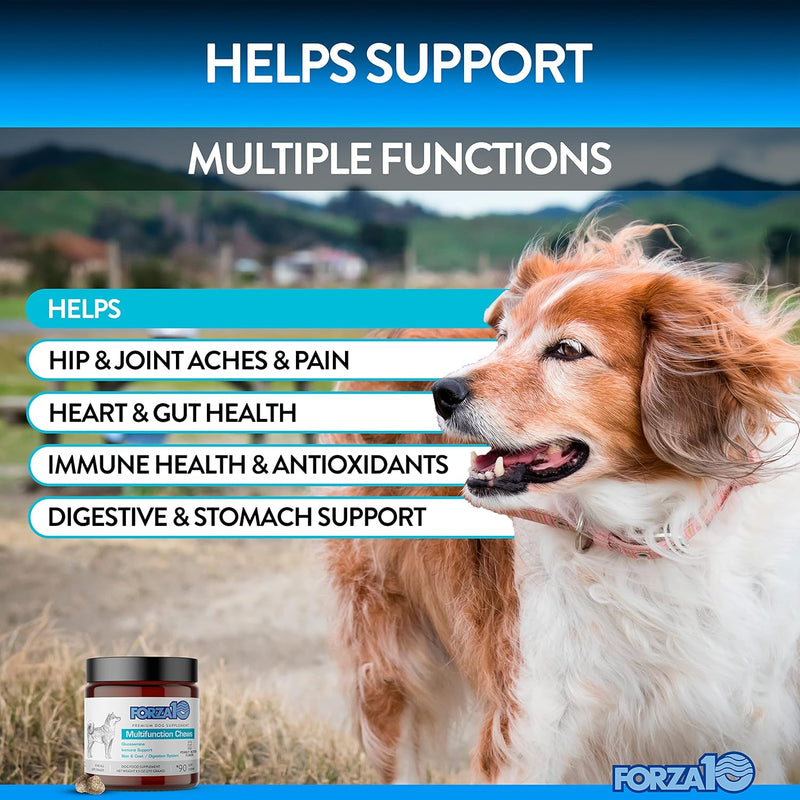 forza10-dog-vitamins-supplements-dog-multivitamin-chews-pet-vitamins-for-dogs-peanut-butter-flavor-dog-supplement-multivitamin-for-dogs-senior-dog-puppy-vitamins-small-to-large-breeds-90-ct-2