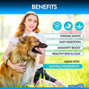 forza10-dog-vitamins-supplements-dog-multivitamin-chews-pet-vitamins-for-dogs-peanut-butter-flavor-dog-supplement-multivitamin-for-dogs-senior-dog-puppy-vitamins-small-to-large-breeds-90-ct-5