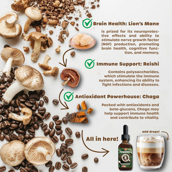 fungoccino-organic-mushroom-coffee-booster-with-ch-2.jpg