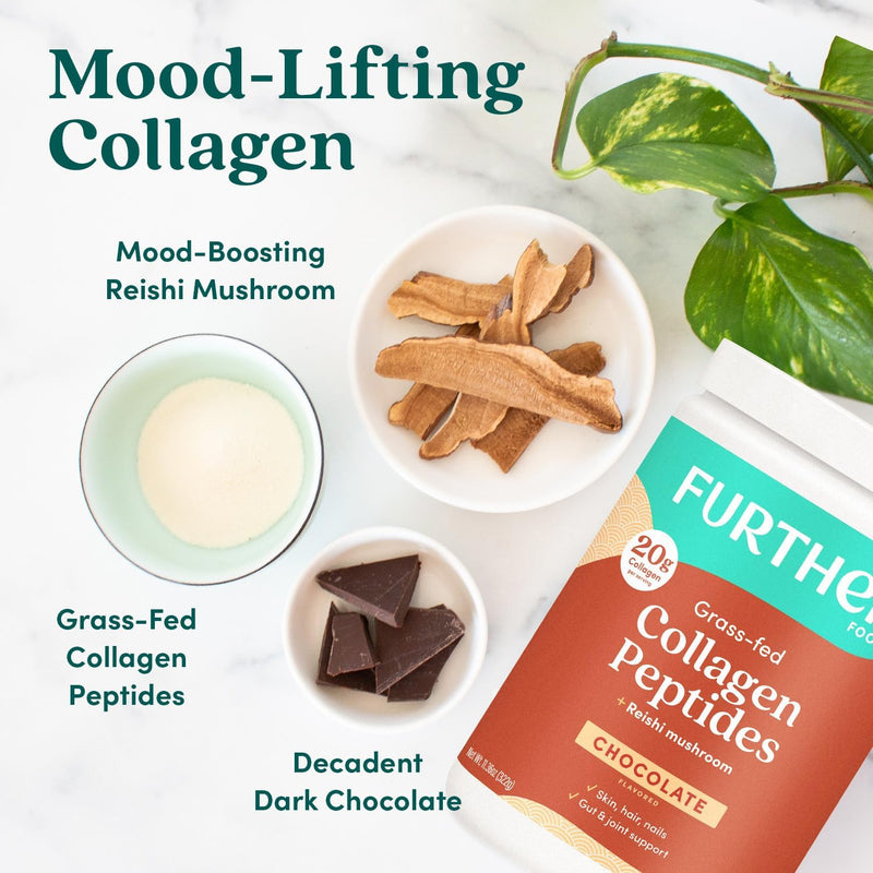further-food-chocolate-collagen-peptides-powder-stick-packs-grass-fed-pasture-raised-hydrolyzed-type-1-3-protein-gut-health-joint-hair-skin-nails-paleo-keto-sugar-free-974-oz-4
