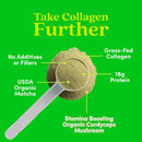 further-food-matcha-collagen-peptides-powder---org-3.jpg