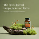 gaia-herbs-cordyceps-mushroom---energy-support-sup-2.jpg