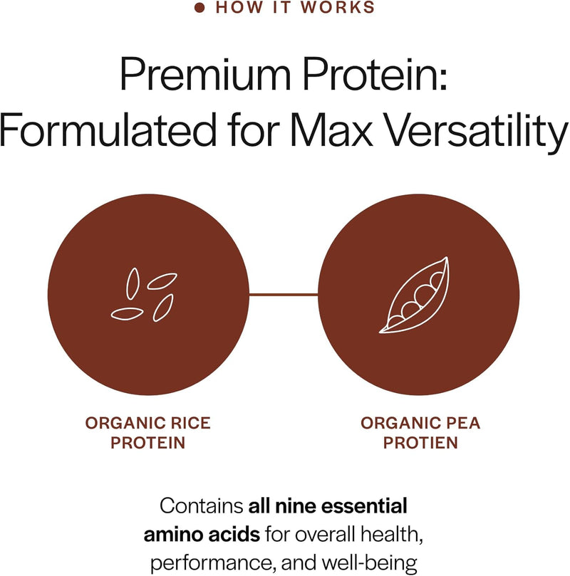 gainful-everyday-plant-protein-powder-23g-plant-pr-3.jpg