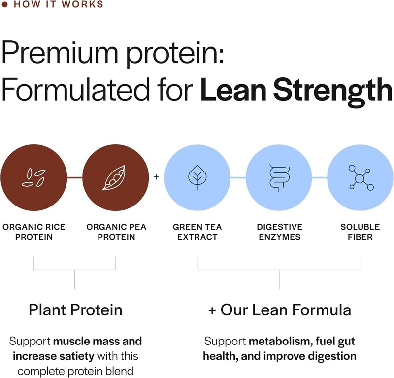 gainful-lean-plant-protein-powder-20g-plant-protei-3.jpg