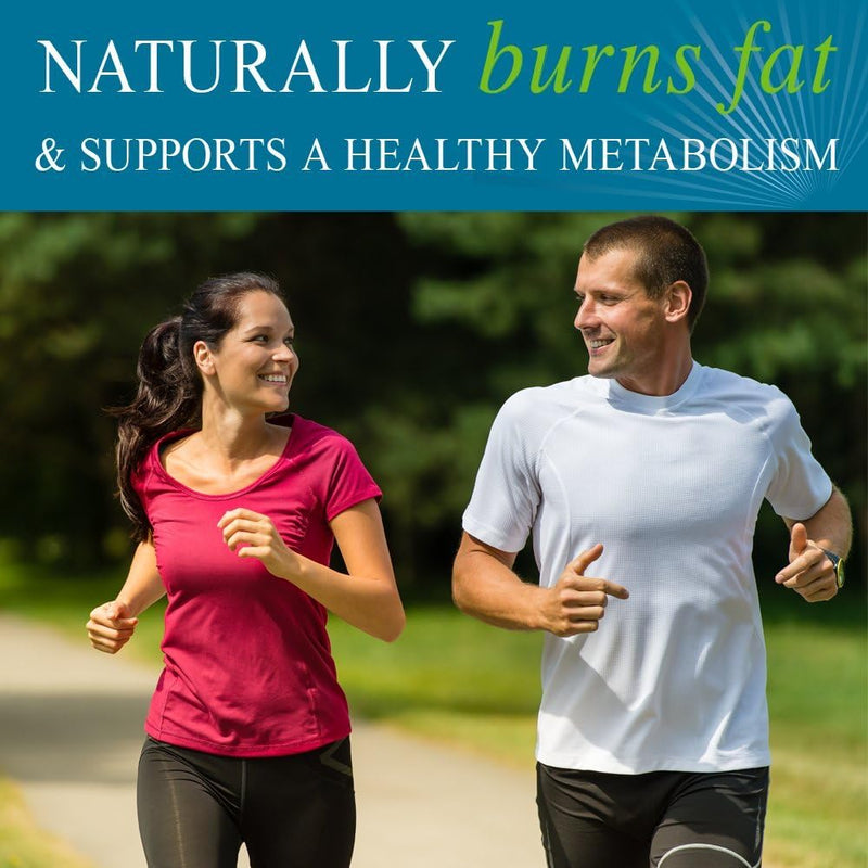 garden-of-life-fucoxanthin-supplements---fucothin-diet-pill-for-weight-loss-90-softgels-2