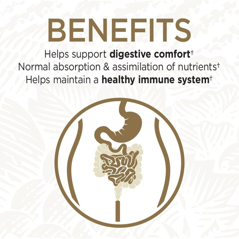 garden-of-life-probiotics-for-digestive-health-and-2.jpg