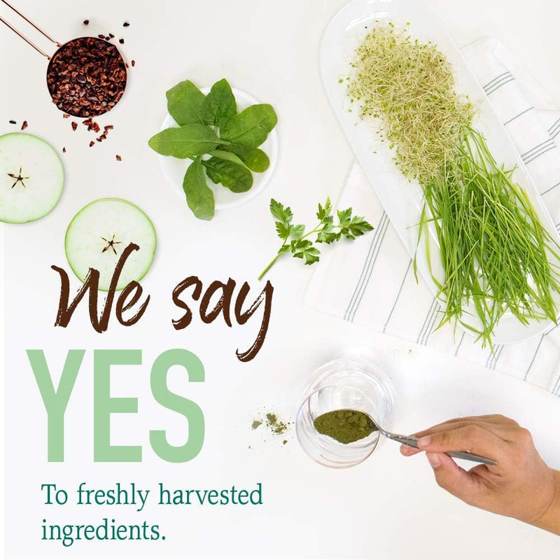 garden-of-life-raw-organic-perfect-food-green-supe-8.jpg